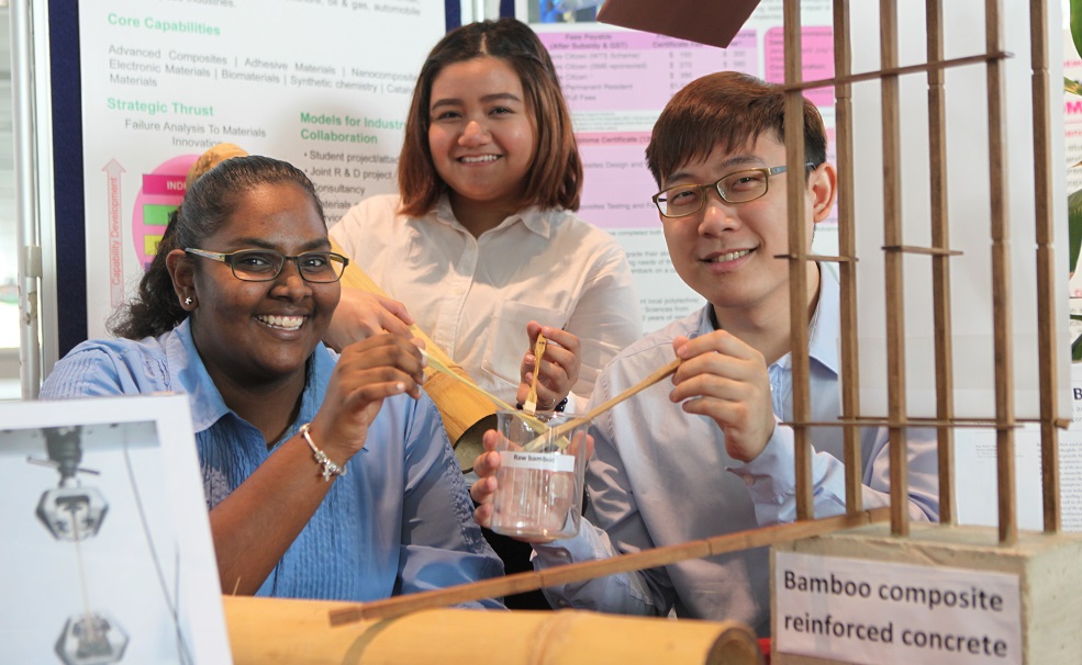 Developing cutting-edge bamboo composites for construction