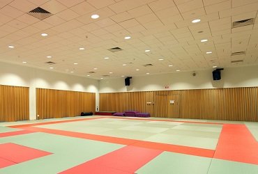 Martial Arts Room