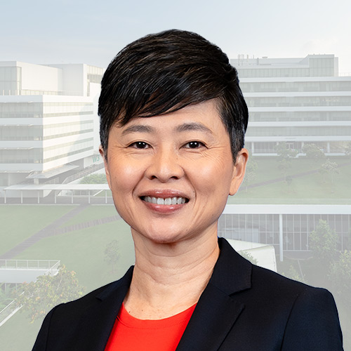 Lim Leng Er