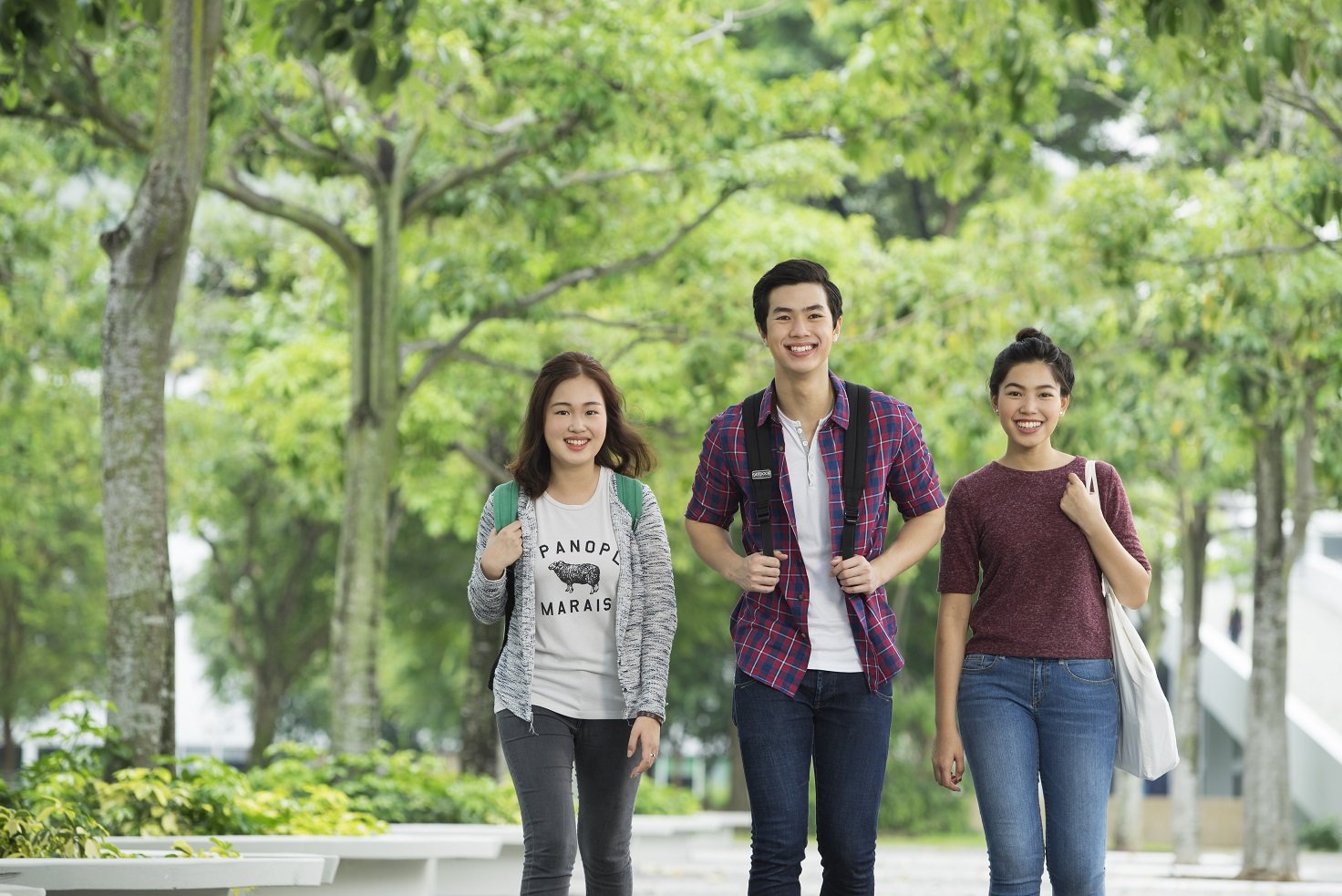 Polytechnic Foundation Programme