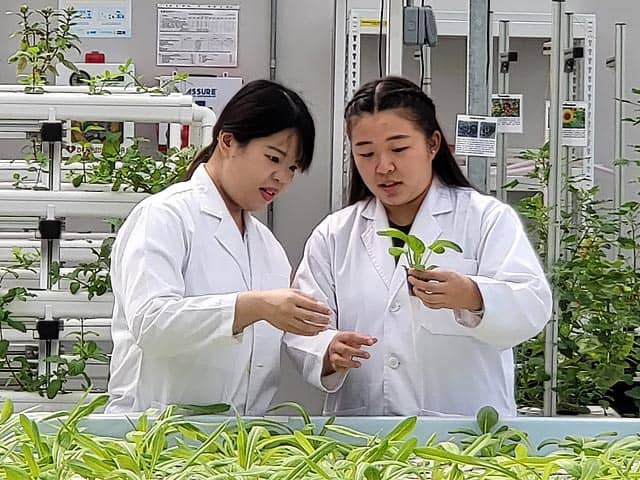 Launch of Urban Agriculture Centre of Innovation (UACOI)