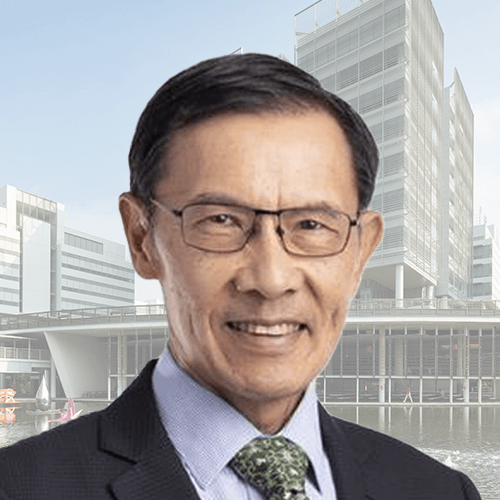 Mr Wong Cheong Fook David