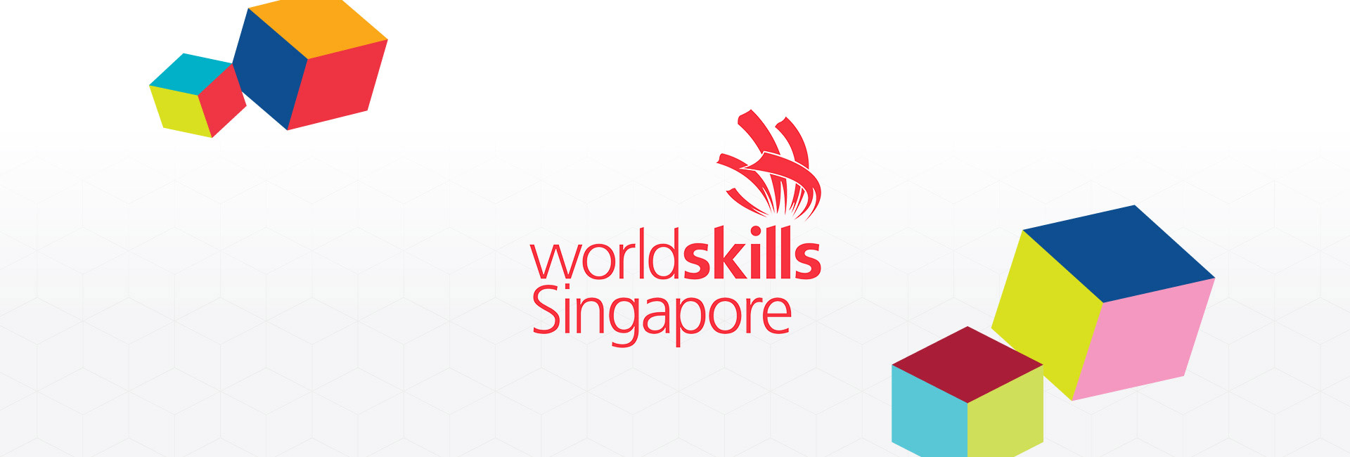 WorldSkills 2022 Special Edition