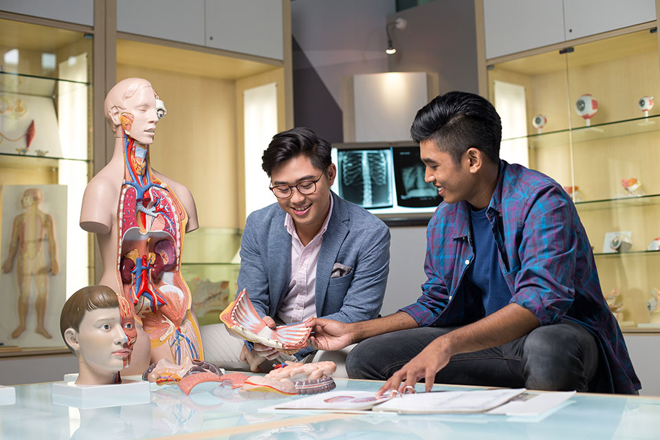 A pair of students learning about the human anatomy in the human anatomy learning centre