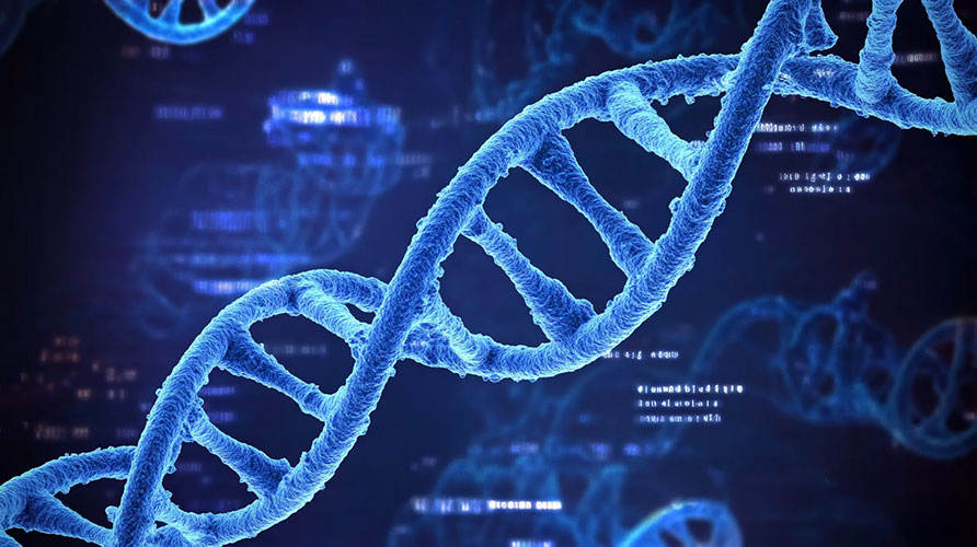 A microscopic view of a DNA sequence