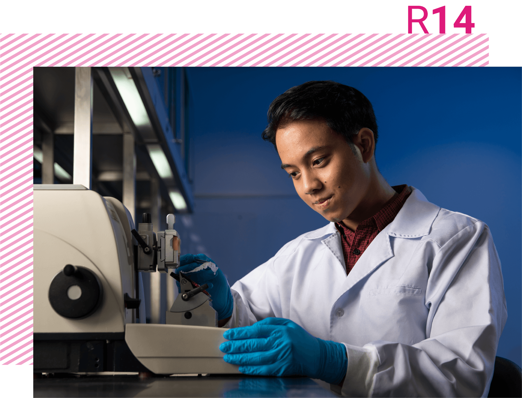 Diploma in Biomedical Science