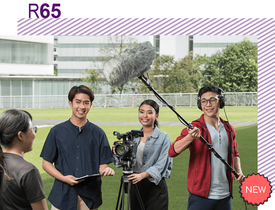 Common Arts, Design and Media Programme