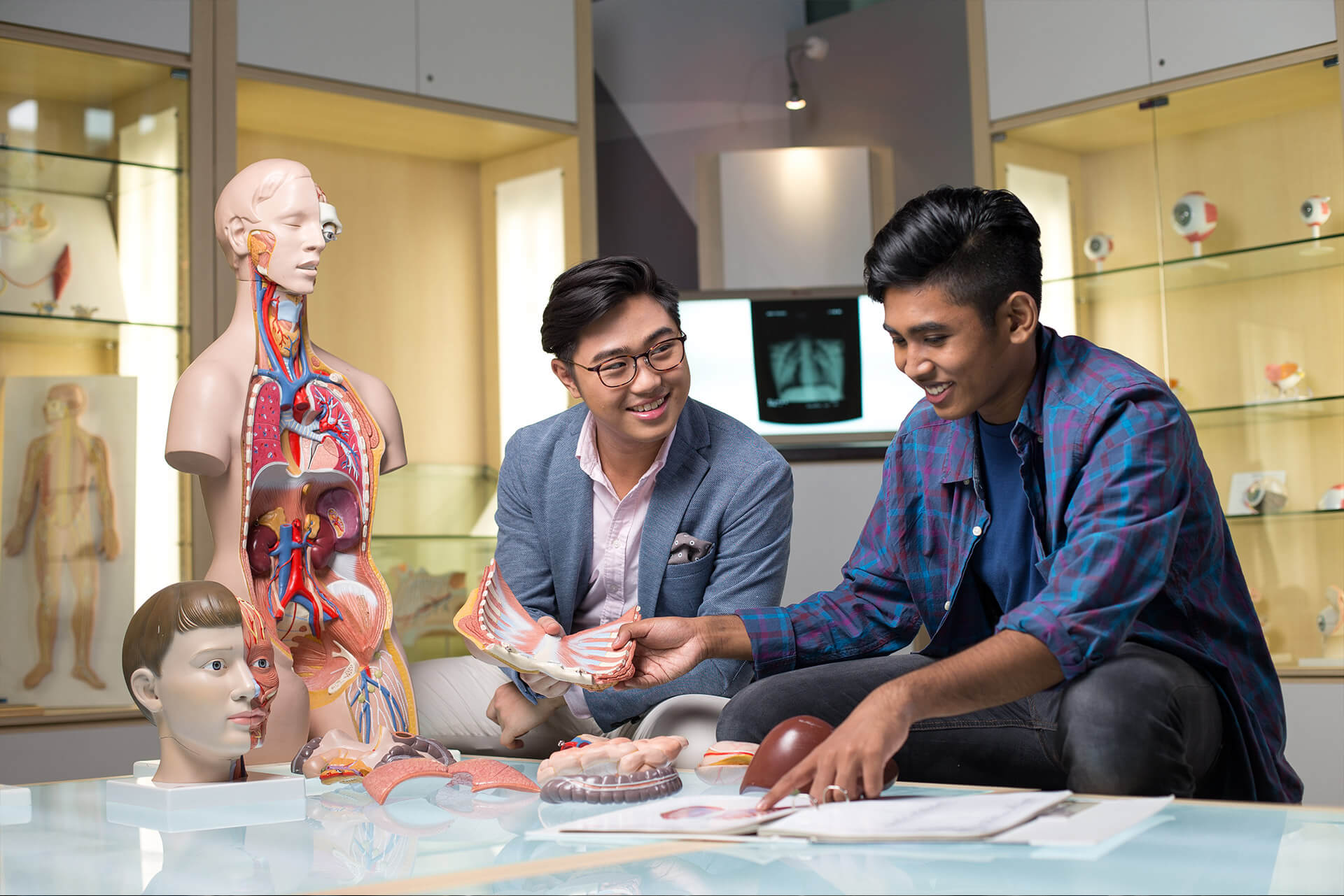 Two students examining a mannequin in the Human Anatomy Learning Centre