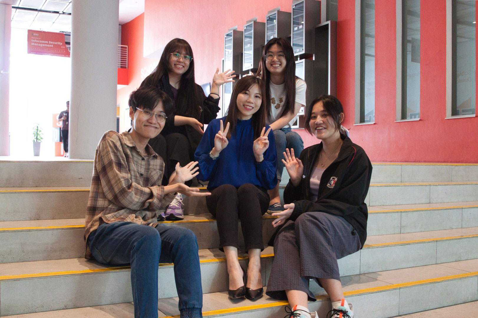 Mapel-6