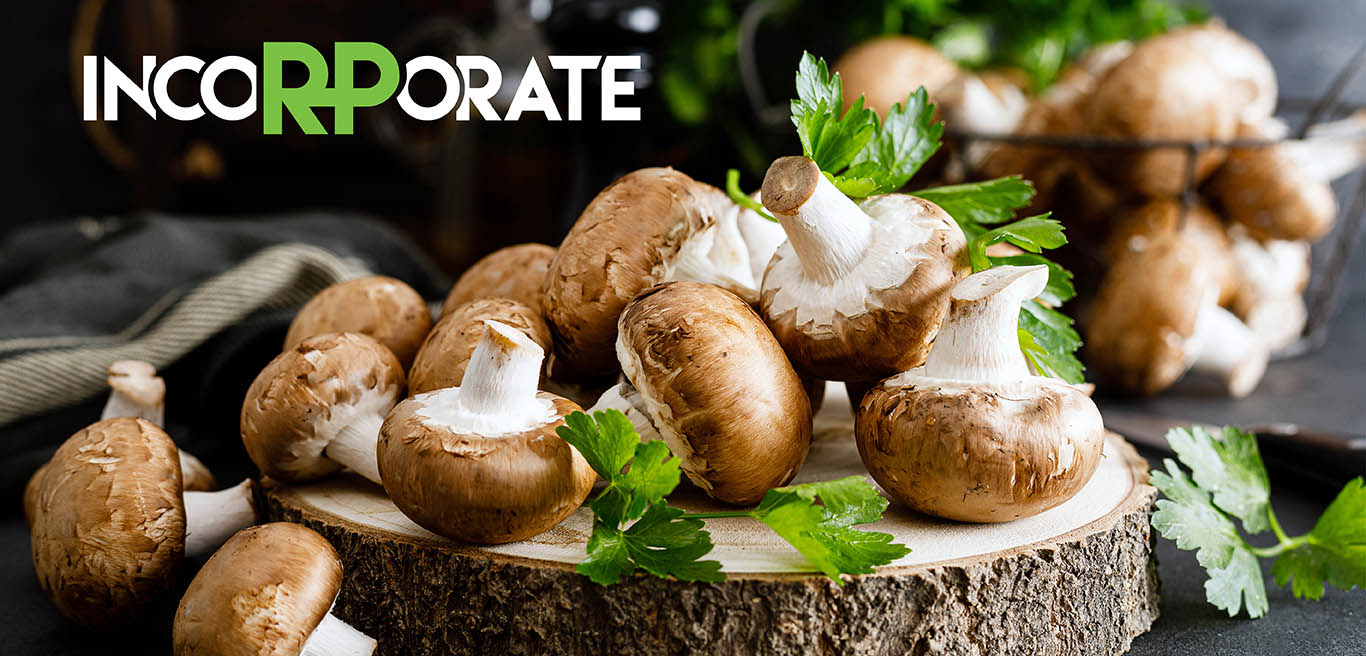 eco-friendly-farming-for-gourmet-mushrooms