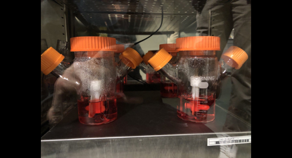 Maximising Cell Cultivation With Low Cost 3D Scaffolding