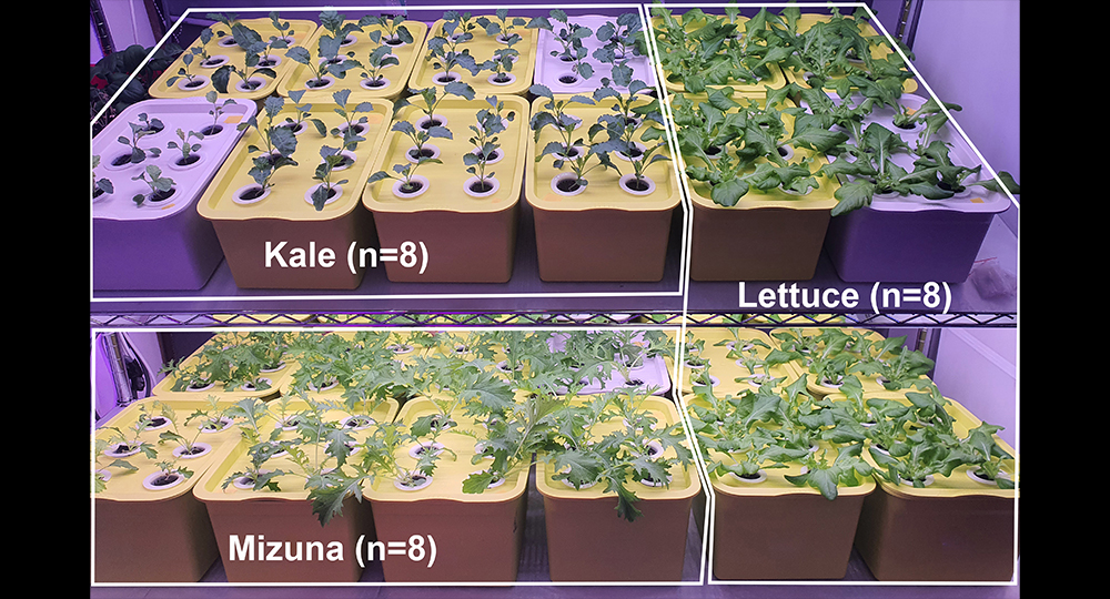 Optimised Nutrient Formulation for Improving Crop Yield