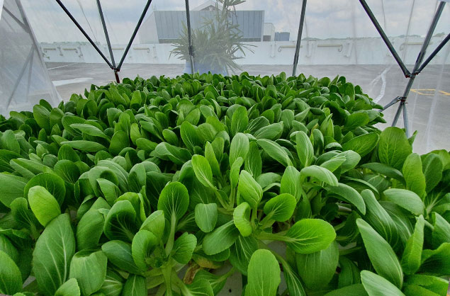Modular-Greenhouse-Farming-System2
