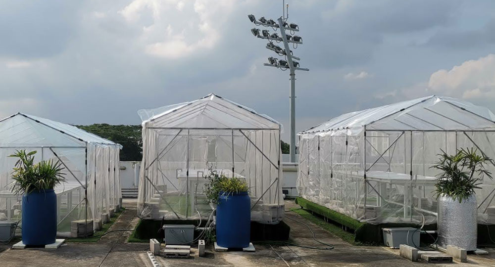 Modular Greenhouse Farming System
