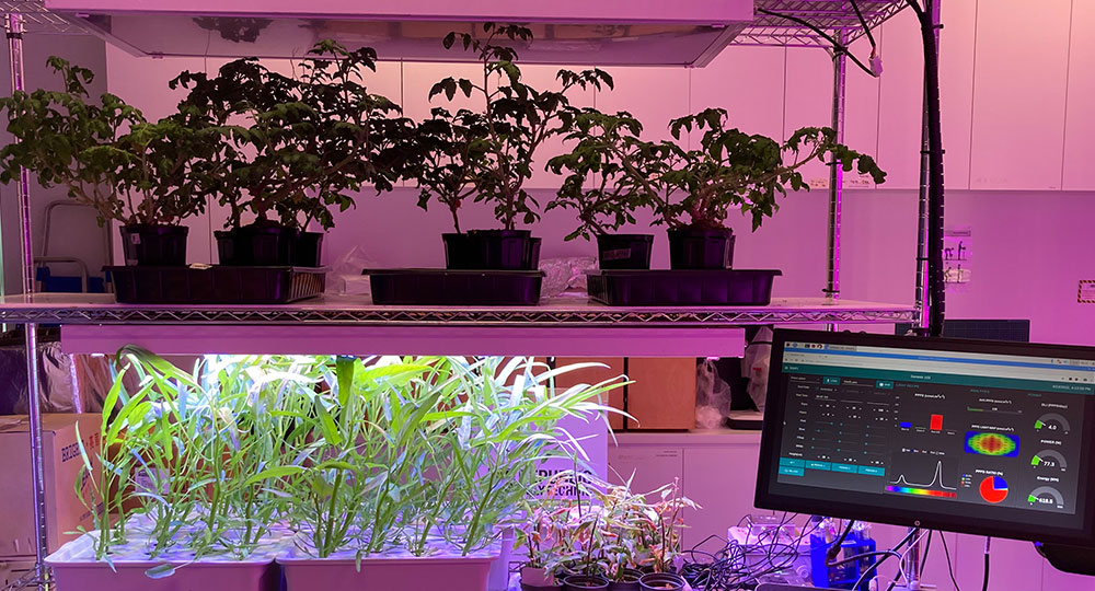 Predictive-Analytics-LED-software-for-Indoor-Farming