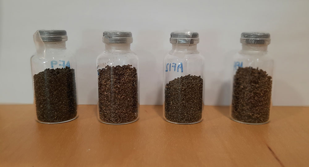 Okara-based-Shrimp-Feed