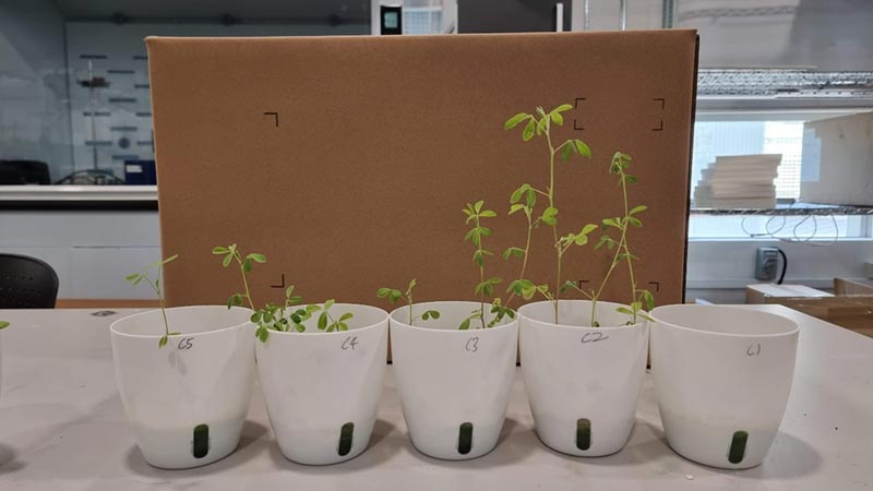 Smart IoT System with Electrolysed Water for Healthier Plants