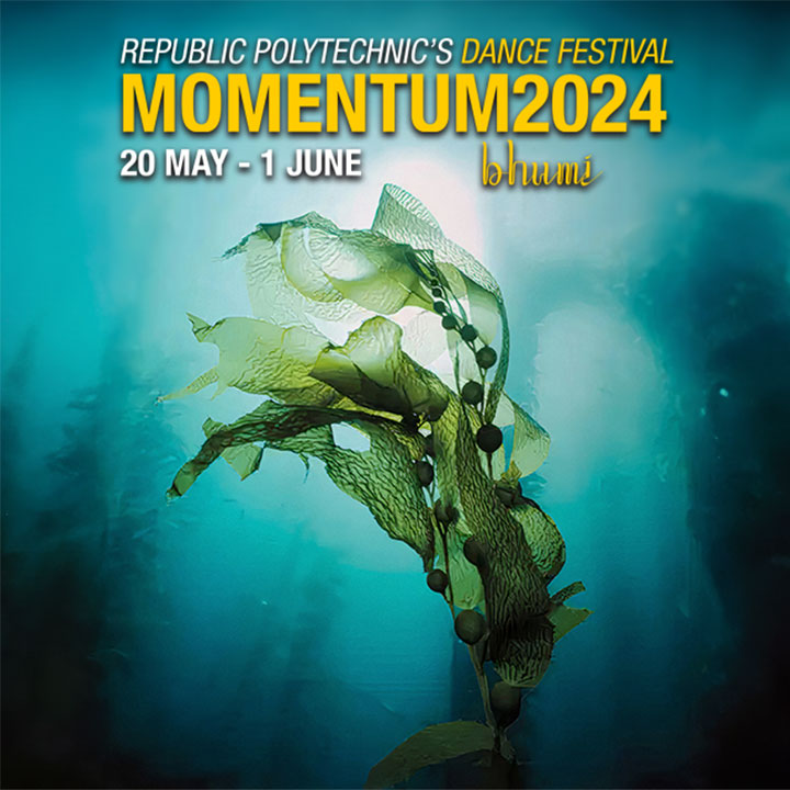 Momentum 2024