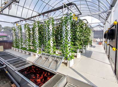 sustainable aquaponics