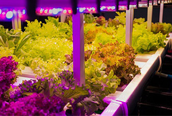 School of Applied Science, Opening of RP Agriculture Technology Laboratory_Slider