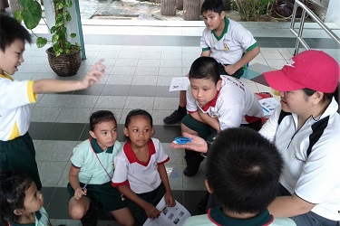 An empirical case study of the Open Green Minds programme