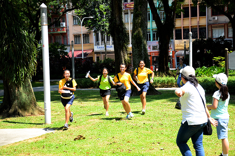 FLY RACE