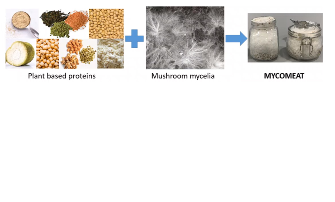 Mycomeat-Culinary-Products1 Mycomeat-Culinary-Products1