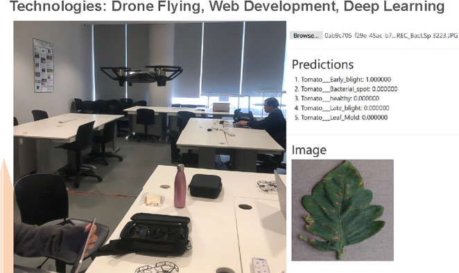 1-GC-Sem2C200-PlantDiseaseDetection