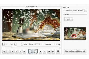 User Selectable Obscuration Software for Digital Videos