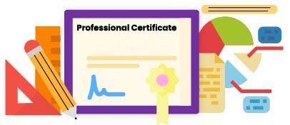 Professional Cert-01