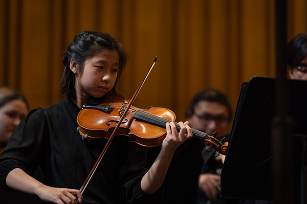 stringsEnsemble