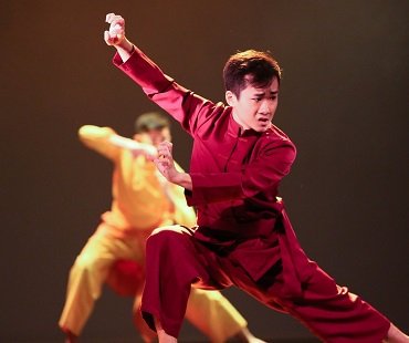 Wushu