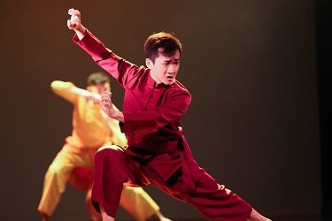 wushu