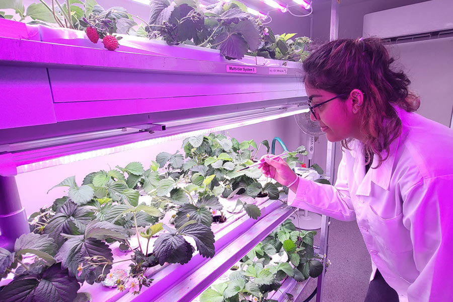 Indoor farming