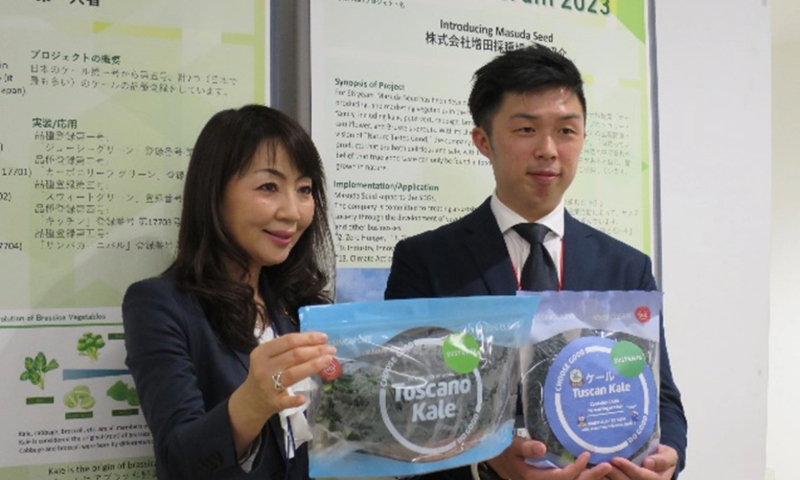 Sustenir-MasudaSeedscollaborationhasresultedinthecultivationofhighvaluedkalewithGABAtraitinSingapore